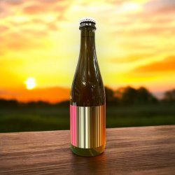 TO OI SORBET LIMONCELLO INSPIRED ALE BOTELLA 375 ML. - Hidden Beers