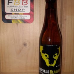 Lupulus blanche - Famous Belgian Beer