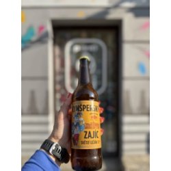 Kynšperský pivovar Kynšperský Zajíc 12° světlý ležák