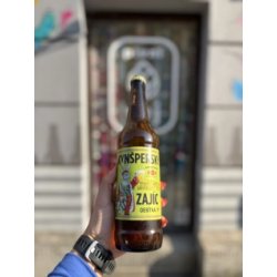 Kynšperský pivovar Kynšperský Zajíc 10° světlé výčepní