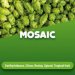 Hop cones Mosaic 100 g Hop cones Mosaic 100 g