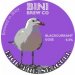 Bini Brew Co Eric The Seagull (Keg) 