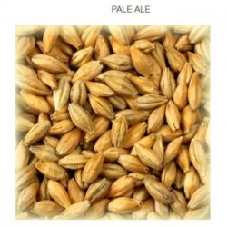 Pale Ale Maris Otter... - Cervesera Artesenca