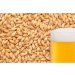 slad BEST PILSEN ORGANIC MALT (plzeňský slad) 