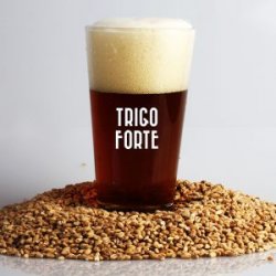 Receitas  Trigo Forte 20L - Cerveja Artesanal