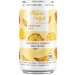 Untitled Art Brewing Florida Seltzer Pineapple Mango Hard Seltzer 12 oz. Can 