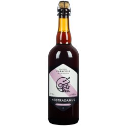 Nostradamus Bruin 75Cl - Belgian Beer Heaven