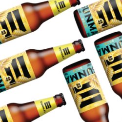 Sunmai Honey Lager 6 Pack - Owlsome Bottles