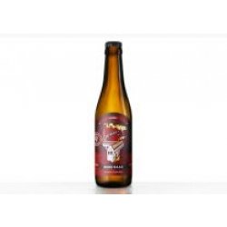 100 Watt  Oude Haas - Holland Craft Beer