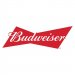 Budweiser 50L Keg 