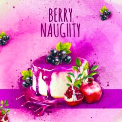 Alchemik - Berry Naughty - Left Field Beer