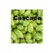 Cascade 125g 