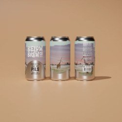 Below Brew Forgot To Take My Pils – Non Alcoholic Hoppy Pilsner - The Alcohol Free Co