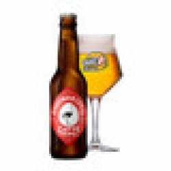 Brouwerij ’t IJ Zatte