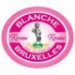 Blanche de Bruxelles - Rose 