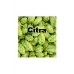 Citra 125g - Beerstore Barcelona