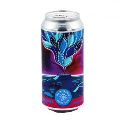 Les Intenables - Craft Beer - Cosmic Series [2023] Motueka - Bierloods22