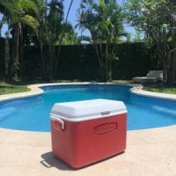 Rental Cooler Box 55 Liter - Bali On Demand