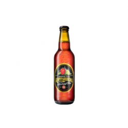 KOPPARBERG 330ml STRAWBERRY-LIME - CityDrinks