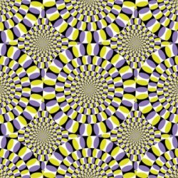 Soma / Fuerst Wiacek Hocus Pocus