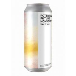 Boundary Potential Future Nonsense 440ML - Drink Store