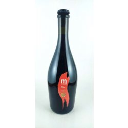 Maryensztadt Wild & Funky Flanders RED ALE 12° - Pivní ochutnávka