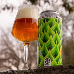 SPOH. FENIX (IPA) - Tierra Cervecera