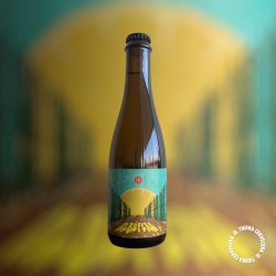 GRANIZO. ALBUFERA (Wet Hop Sour) - Tierra Cervecera