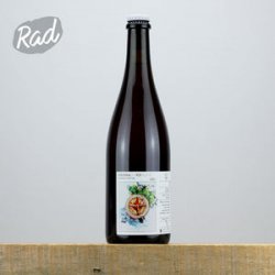 Ammonite Vinifera VIII - Gamay - Radbeer