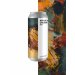 Boundary ANY OF THE COLOURS IPA (4-pack) 6% 