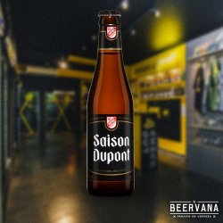 Saison Dupont Saison Dupont