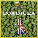 Boadicea (pellet) 