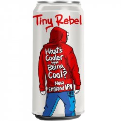 Whats Cooler than Being Cool? 8.0% - Beer Ritz