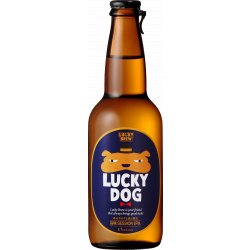 LUCKY DOG SESSION IPA BOTTLE - Co-Ho Imports