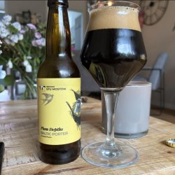 Browar Stu Mostów Plum Depths Baltic Porter