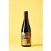 Bottle Logic Fundamental Observation Maple 2025 