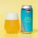 Pressure Drop Brewing - Form and Function New England Pale 