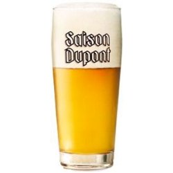 Saison Dupont Bierglas - Drankgigant.nl
