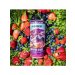 Souche Smoothie Beach Fruits Des Champs Souche Smoothie Beach Fruits Des Champs