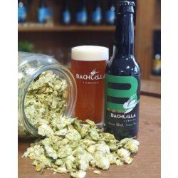 Pack 12 Bachiellas Amber Ale - Bachiella