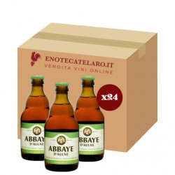 Abbaye d’Aulne Ambrée 6 Abbaye d’Aulne Ambrée 6