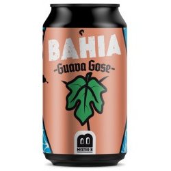 Mister B Brewery Bahia