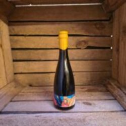 Brouwerij LOST LOST+ 2025