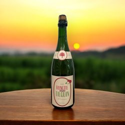 TILQUIN REINETTE ELOITTE BOTELLA 750 ml - Hidden Beers