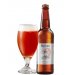Bertus Mallory Irish Red Bertus Mallory Irish Red