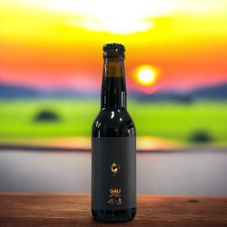 SALTUS W MUST GAU IMPERIAL RYE STOUT BOTELLA 33cl - Hidden Beers