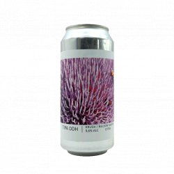 Popihn TIPA DDH KRUSH / NELSON SAUVIN / CITRA Popihn TIPA DDH KRUSH / NELSON SAUVIN / CITRA