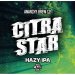 Anarchy Brew Citra Star Session IPA Keg 