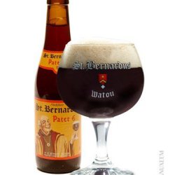 St. Bernardus Pater 6 6,7% 33 cl - Trappist.dk - Skjold Burne