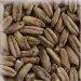 Malta de Avena (Oat Malt) KG Malta de Avena (Oat Malt) KG